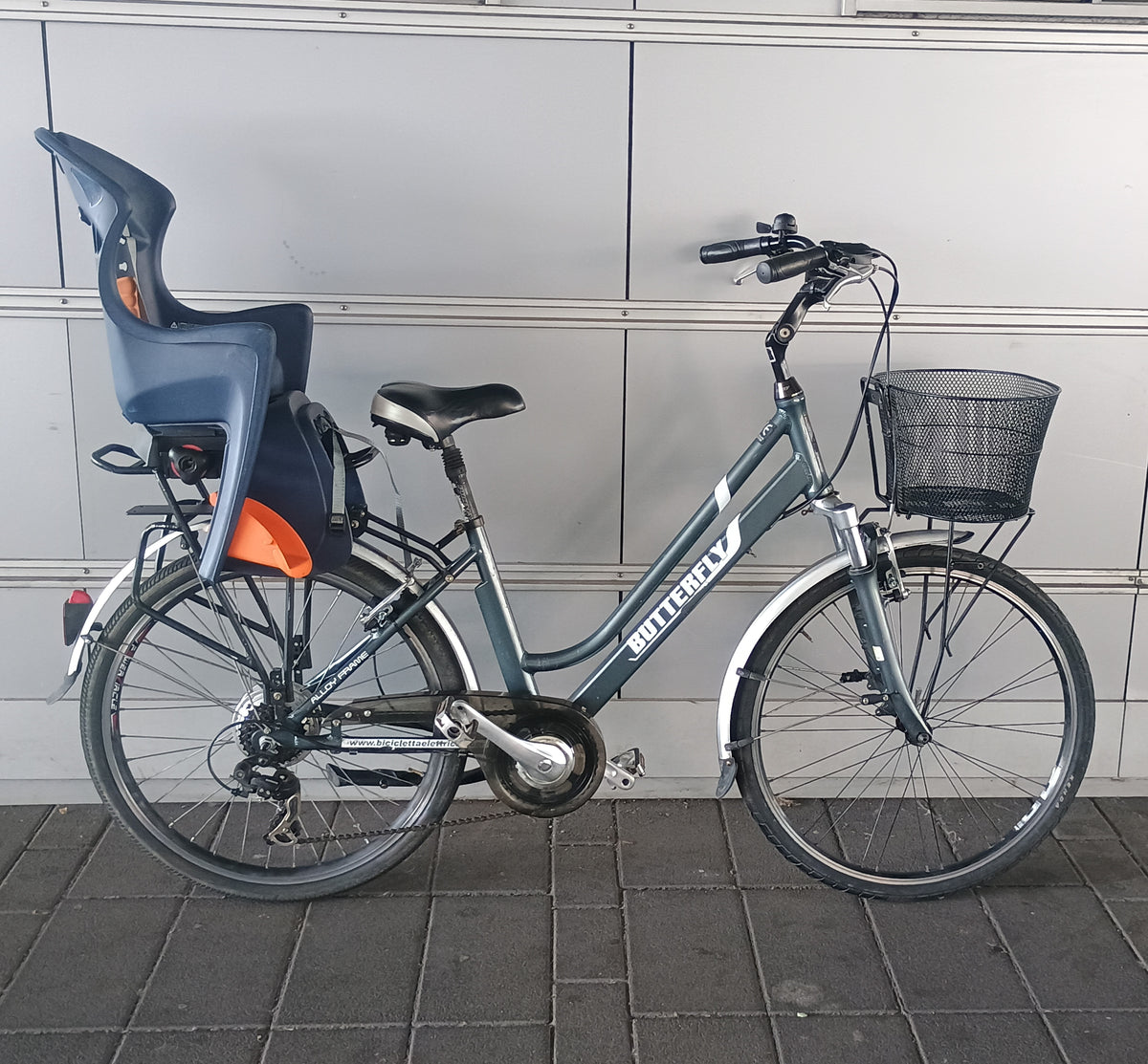 Family Bike
