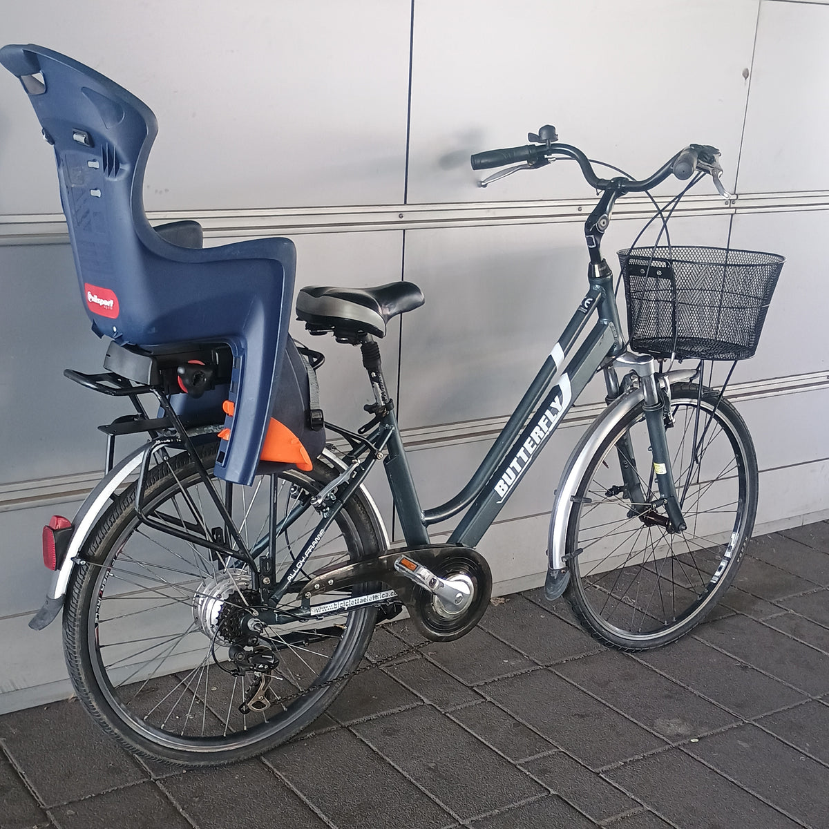 Family Bike