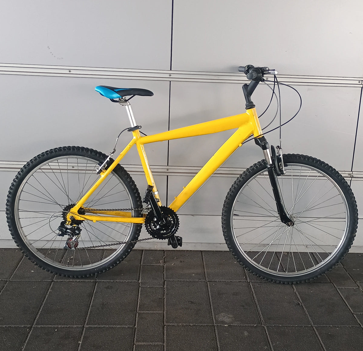Mountain Bike rivisitata