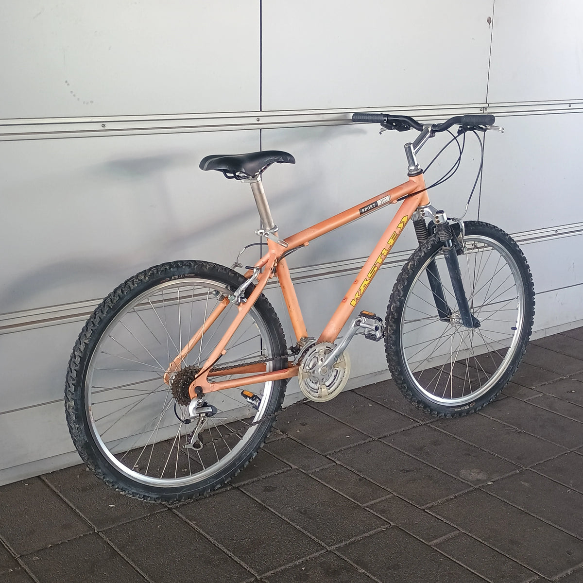 Mtb Kastle